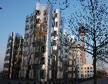 Foto: Media Harbour - Düsseldorf’s Architectural Zoo